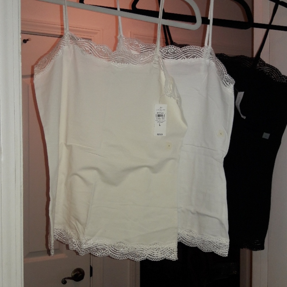 Ann Taylor Camis.